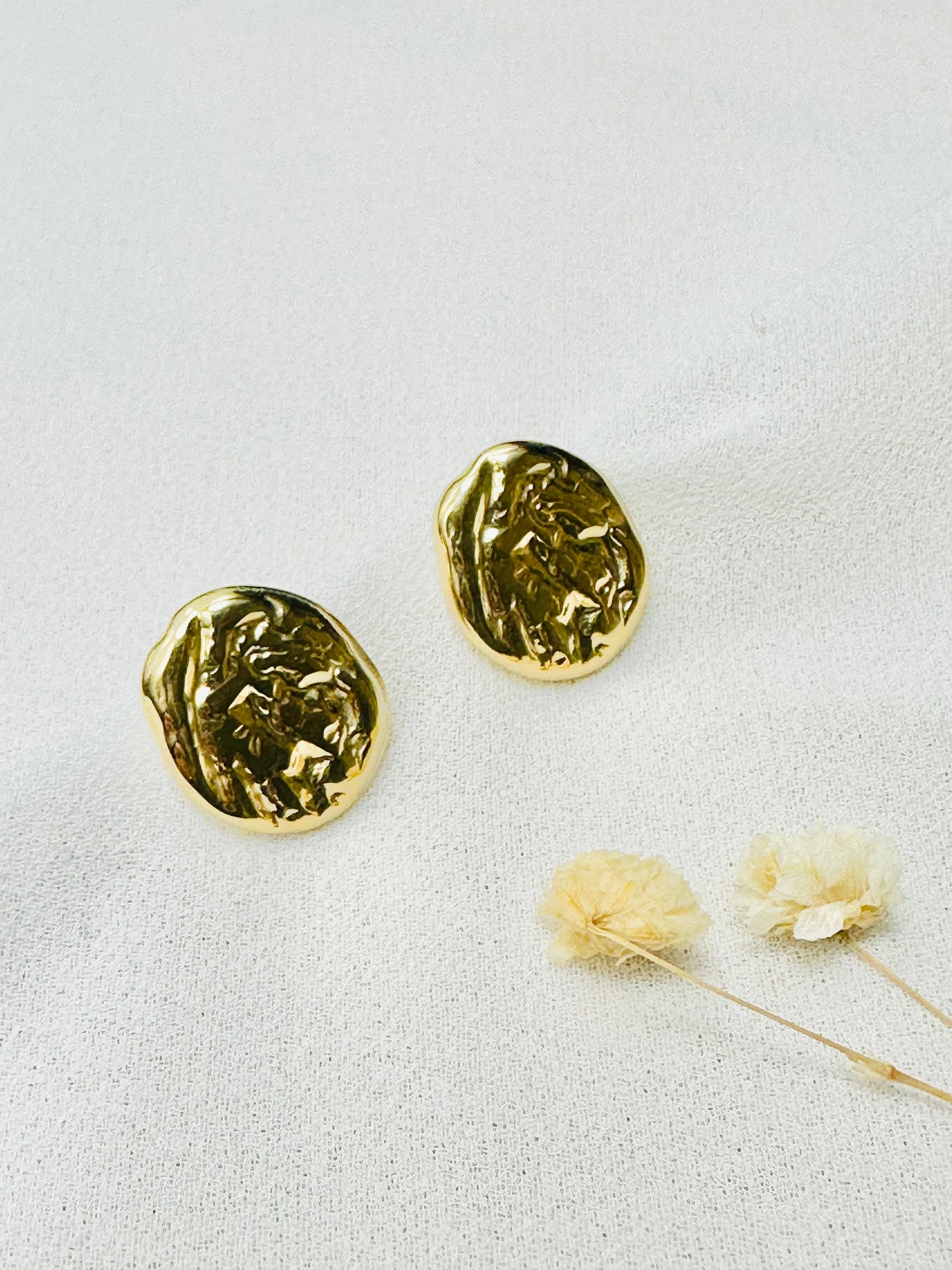 boucles, boucles d oreilles, créoles, boucle d oreille, boucle d oreille femme, boucle d oreille anneau, bijou acier inoxydable, bijoux en acier inoxydable, bijoux inoxydables, bijoux acier inoxydable doré, site de bijoux acier inoxydable