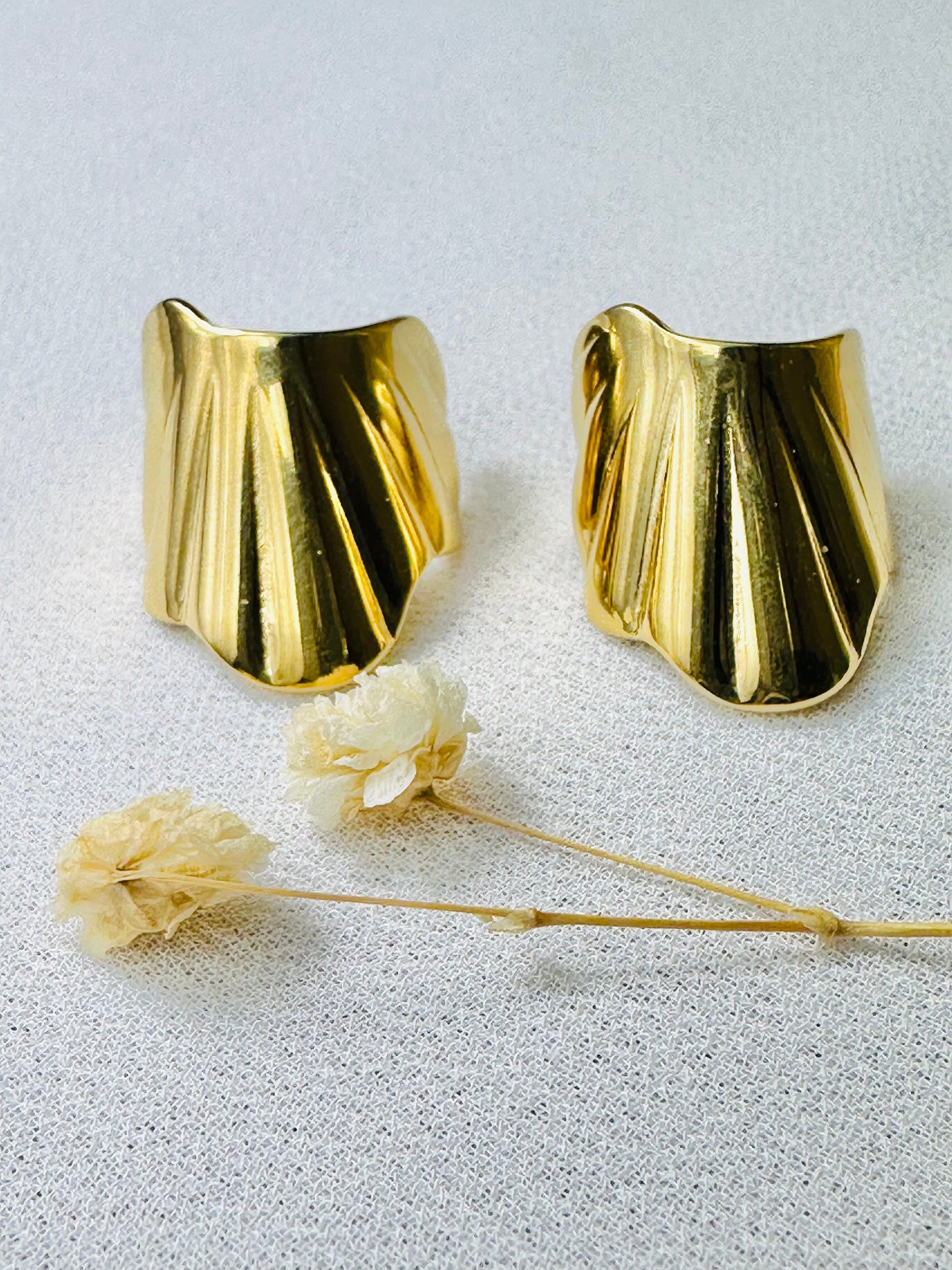 boucles, boucles d oreilles, créoles, boucle d oreille, boucle d oreille femme, boucle d oreille anneau, bijou acier inoxydable, bijoux en acier inoxydable, bijoux inoxydables, bijoux acier inoxydable doré, site de bijoux acier inoxydable