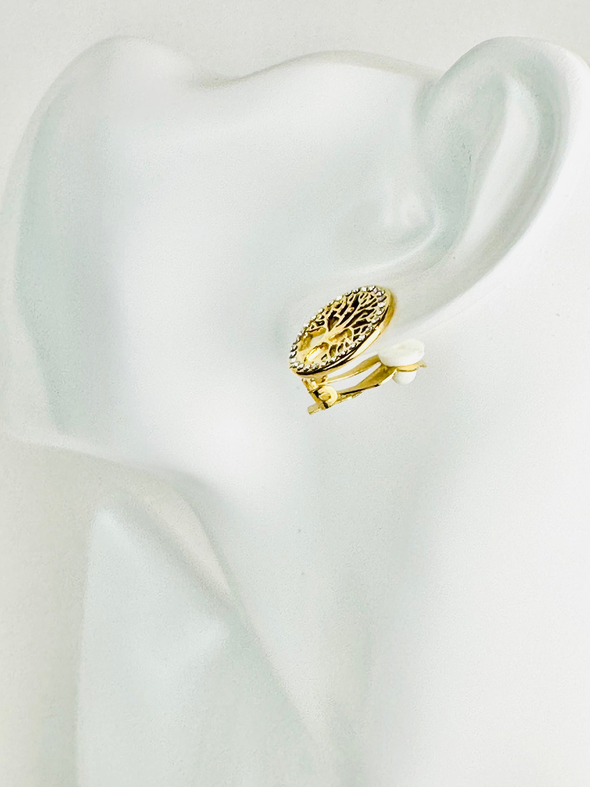 boucles, boucles d oreilles, créoles, boucle d oreille, boucle d oreille femme, boucle d oreille anneau, bijou acier inoxydable, bijoux en acier inoxydable, bijoux inoxydables, bijoux acier inoxydable doré, site de bijoux acier inoxydable
